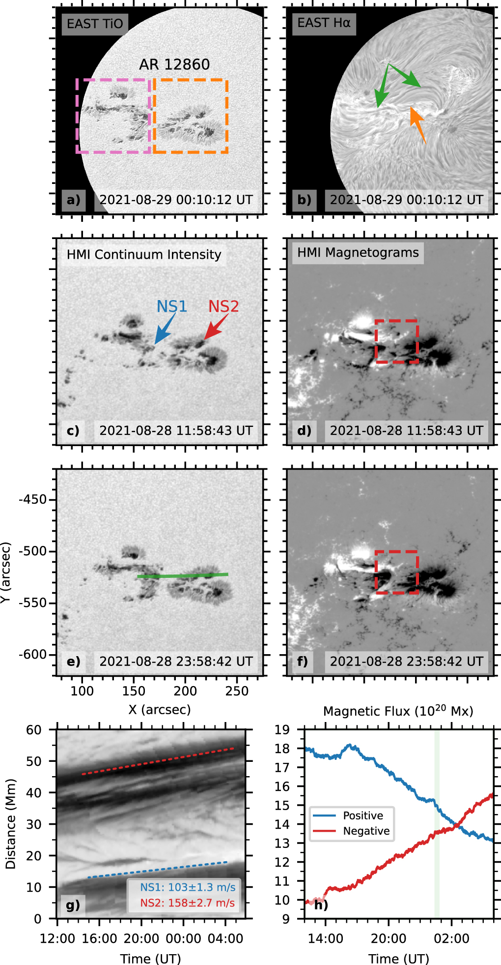 The Deformation of an Erupting Magnetic Flux Rope in a Confined Solar ...