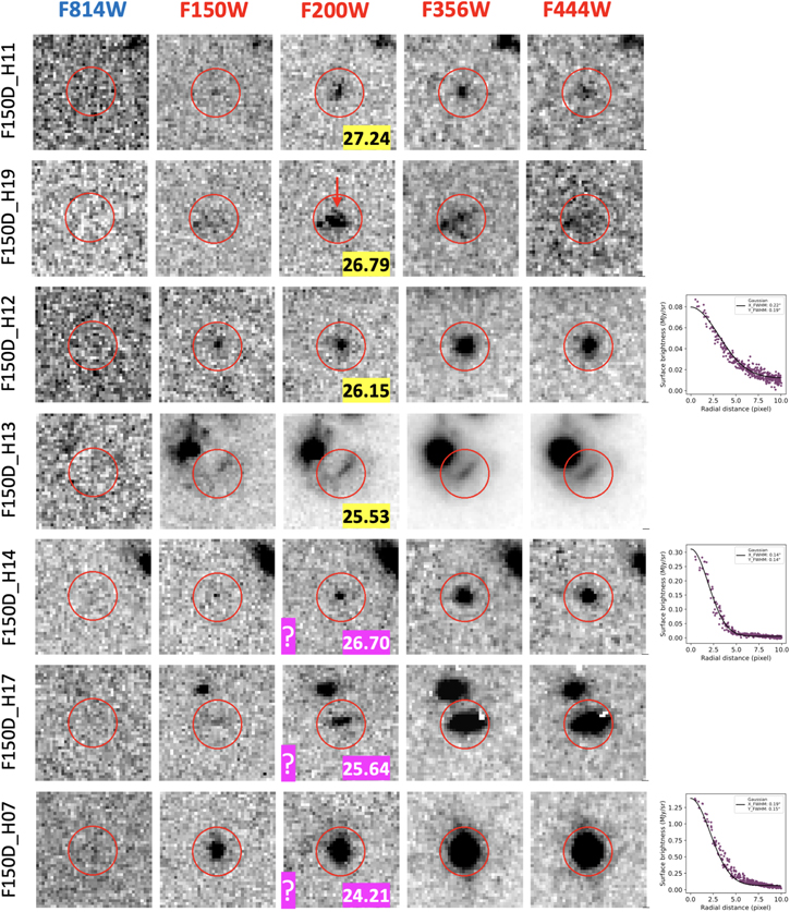 Figure 2. Refer to the following caption and surrounding text.