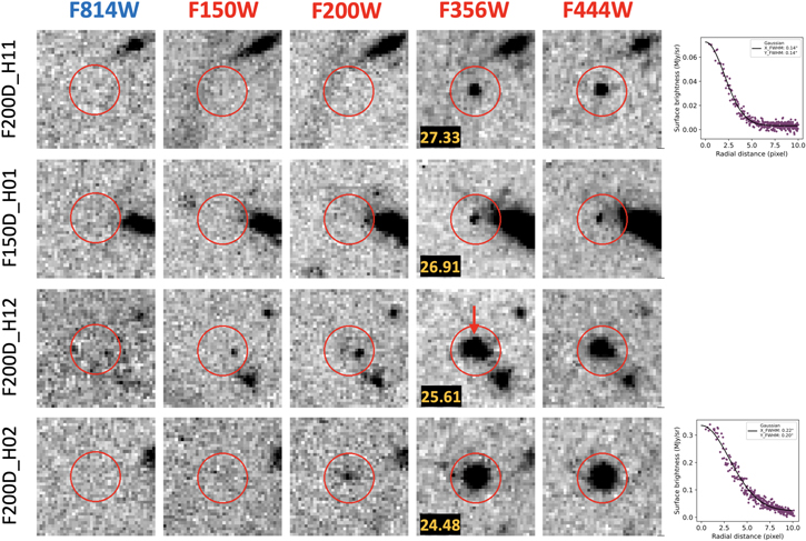 Figure 3. Refer to the following caption and surrounding text.