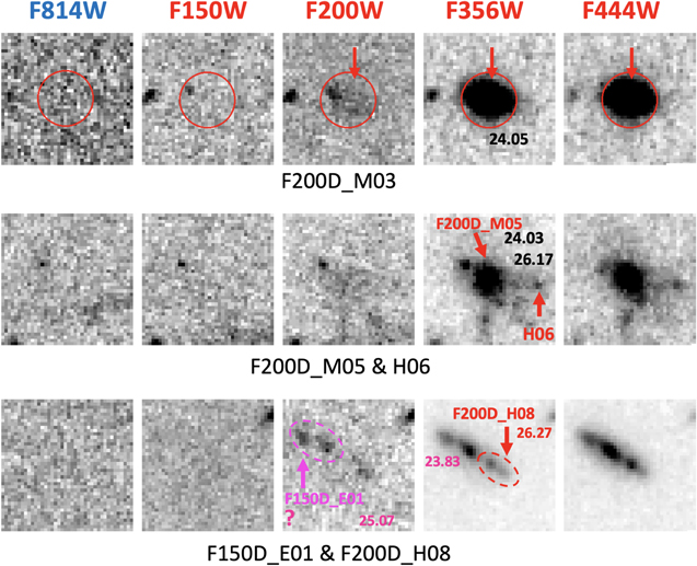 Figure 5. Refer to the following caption and surrounding text.