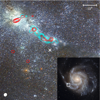Supernova SN 2023ixf