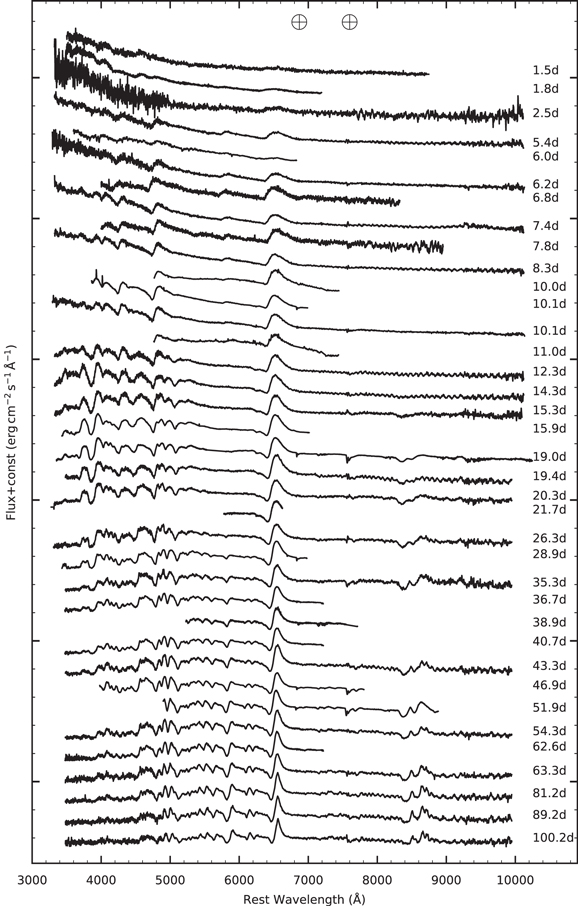 Figure 2. Refer to the following caption and surrounding text.
