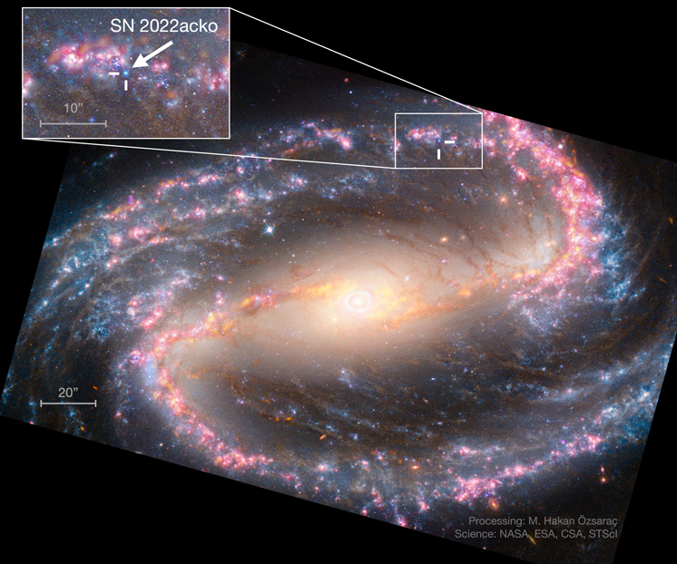 Figure 3. Refer to the following caption and surrounding text.