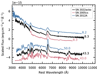 Figure 6. Refer to the following caption and surrounding text.