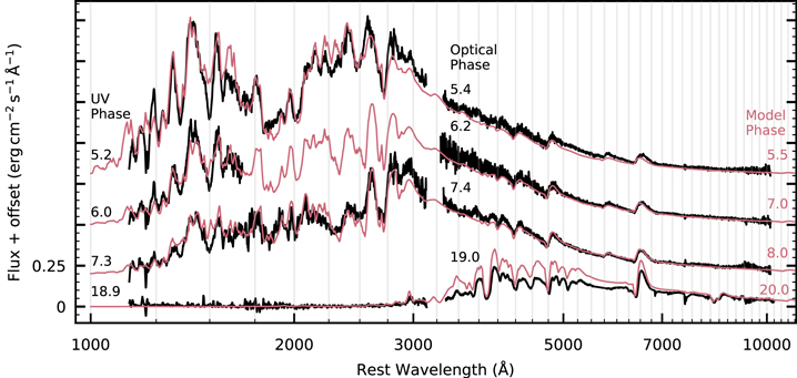 Figure 7. Refer to the following caption and surrounding text.