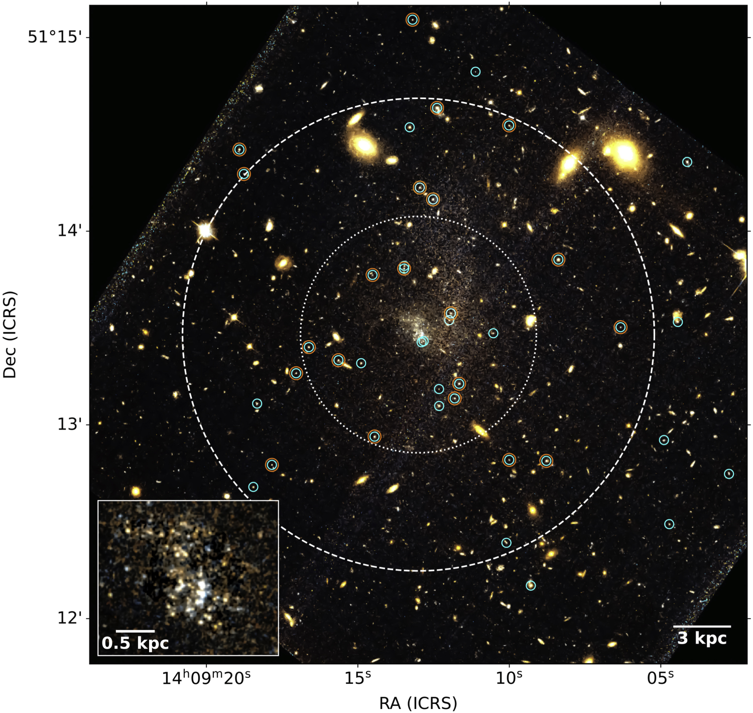 The Disturbed and Globular-cluster-rich Ultradiffuse Galaxy UGC 9050 ...