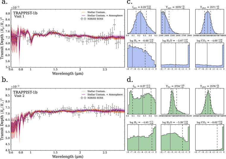 Figure 4. Refer to the following caption and surrounding text.