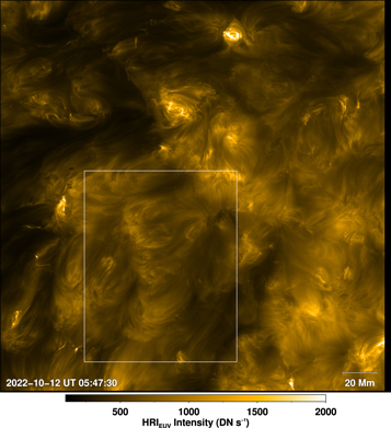 Figure 5. Refer to the following caption and surrounding text.