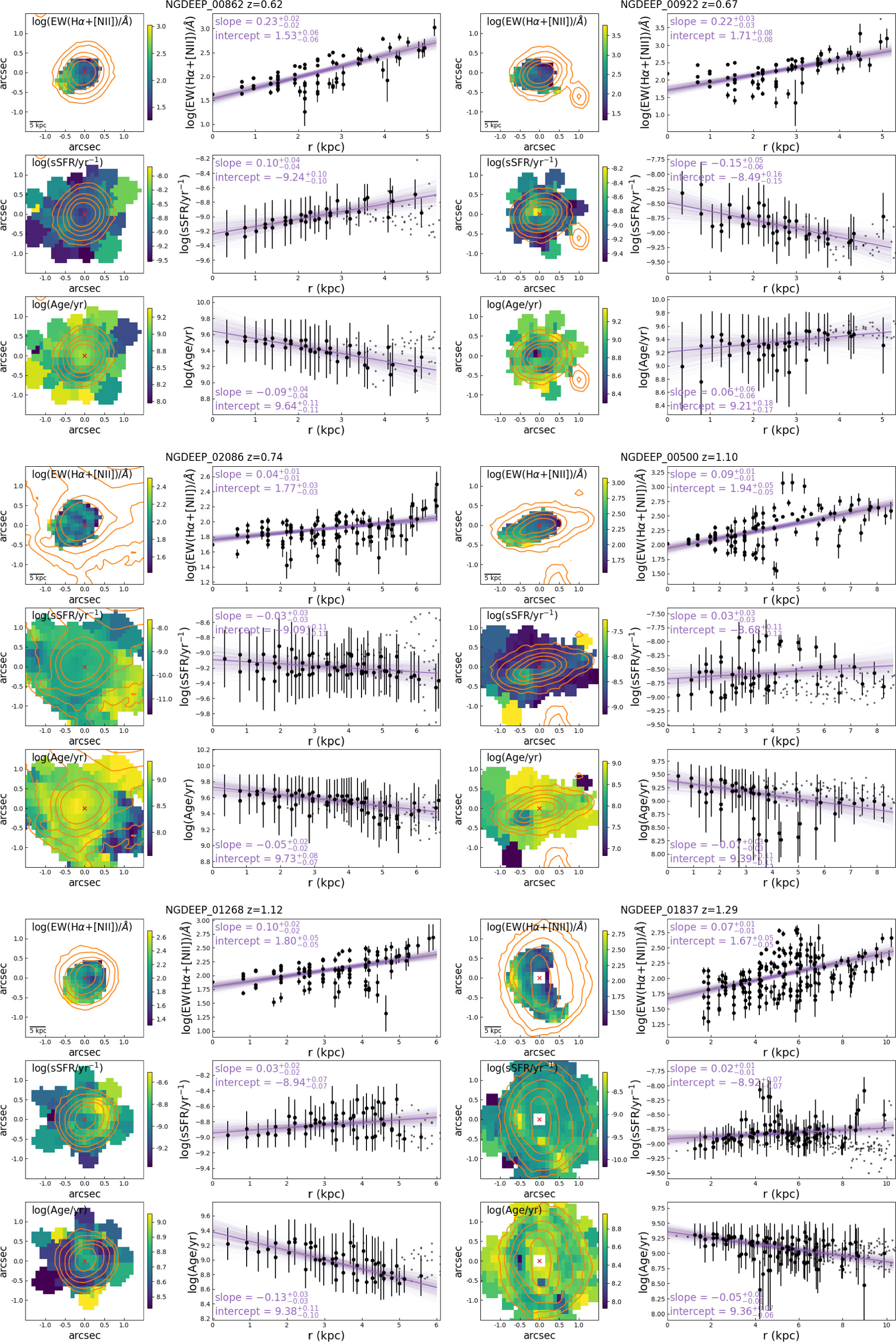 NGDEEP Epoch 1: Spatially Resolved Hα Observations of Disk and