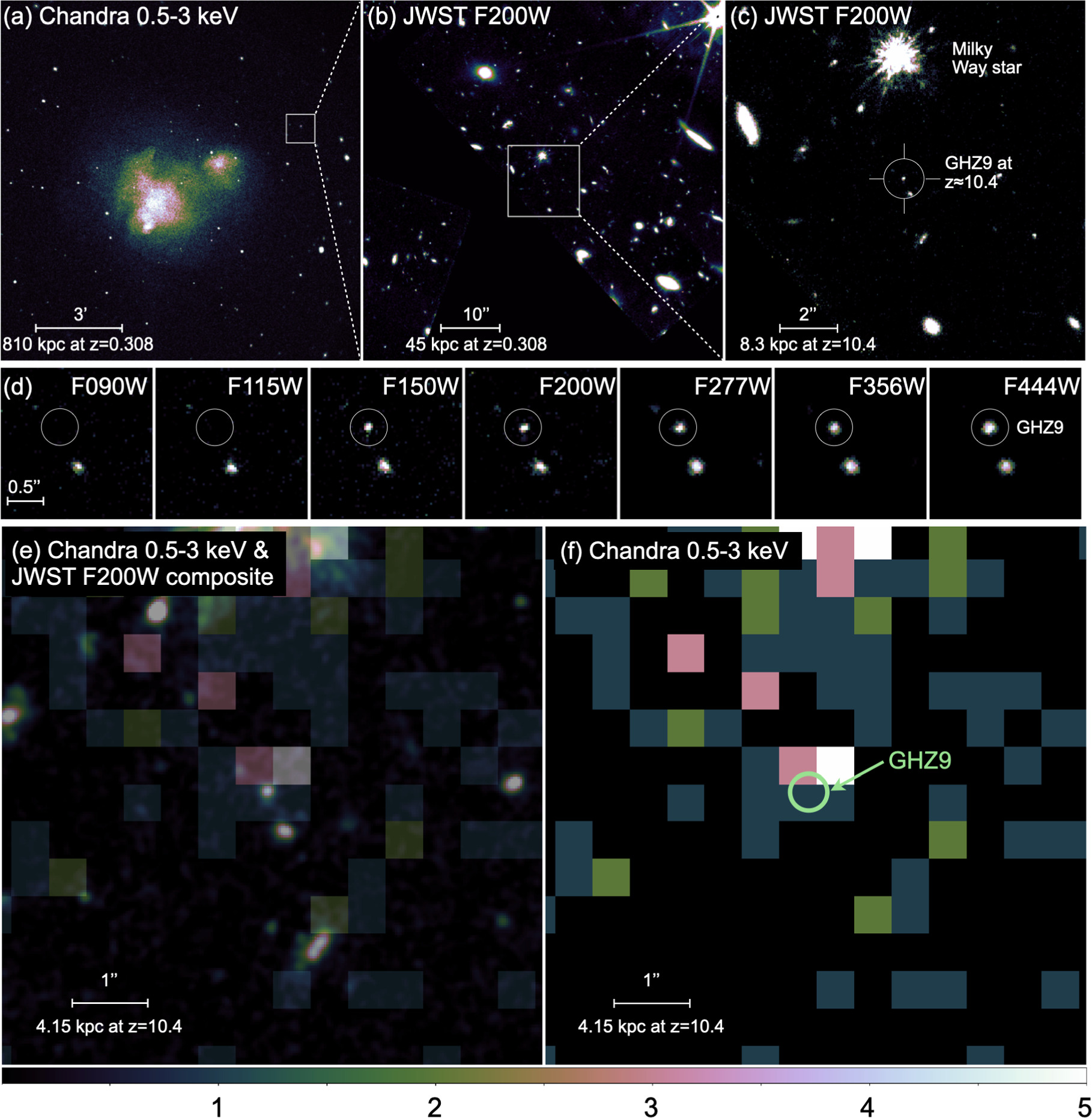 A Candidate Supermassive Black Hole in a Gravitationally