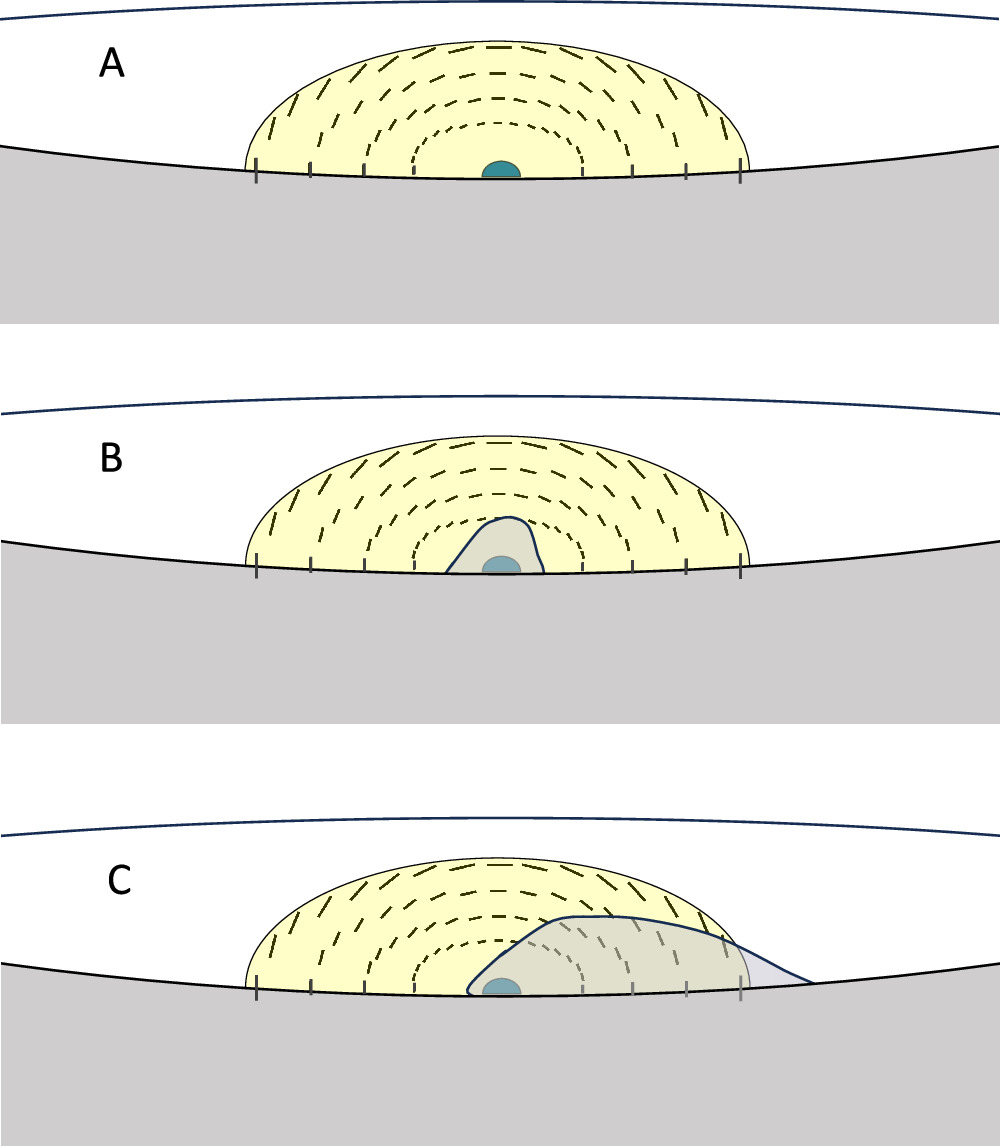Figure 11. Refer to the following caption and surrounding text.