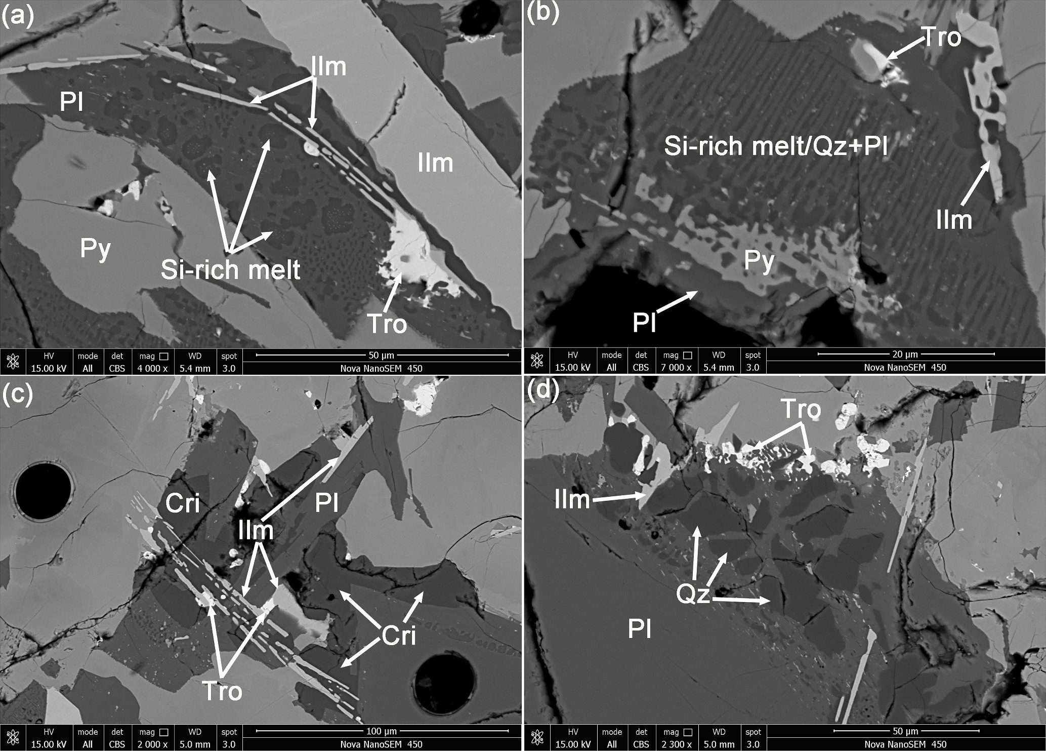 Petrogenesis of Chang’e-6 Basalts and Implication for the Young ...