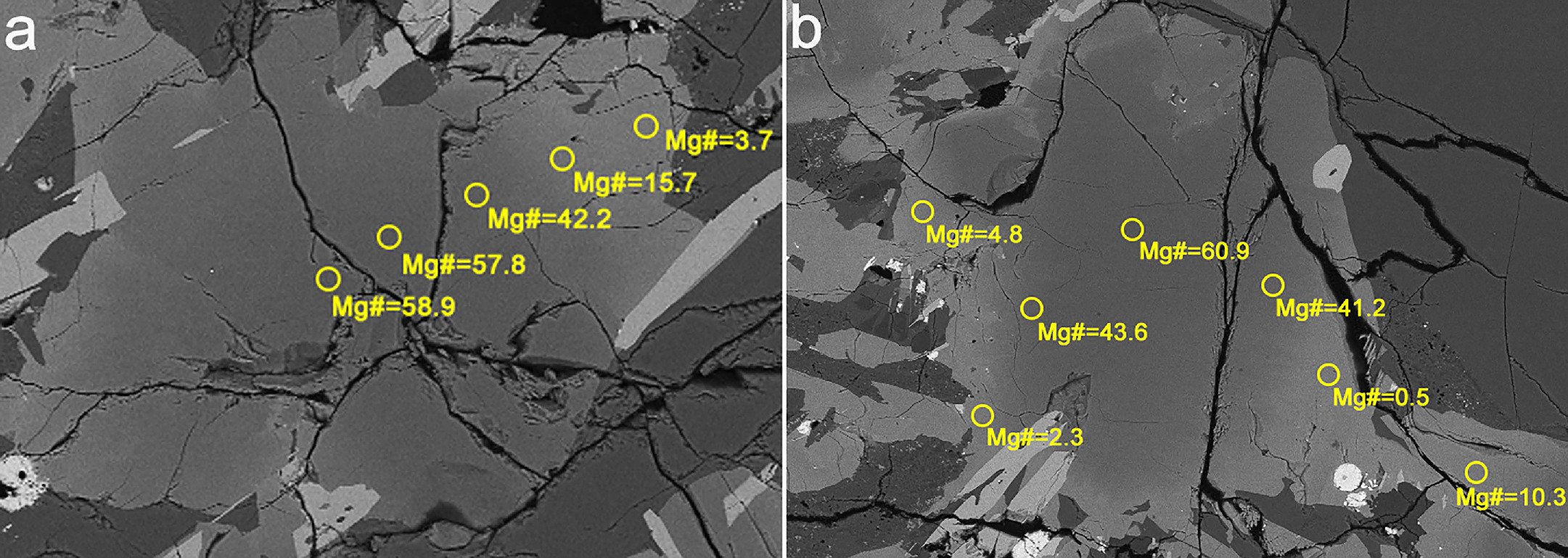 Petrogenesis of Chang’e-6 Basalts and Implication for the Young ...