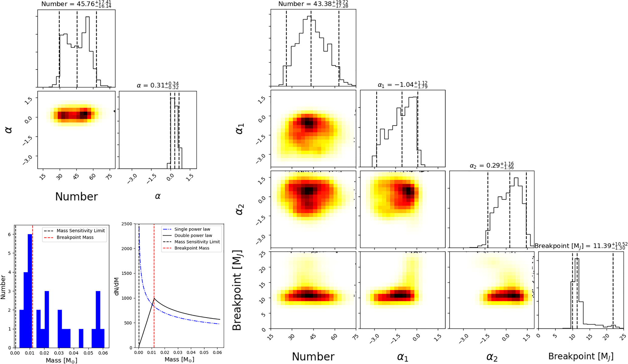 Identification of a Turnover in the Initial Mass Function of a Young ...