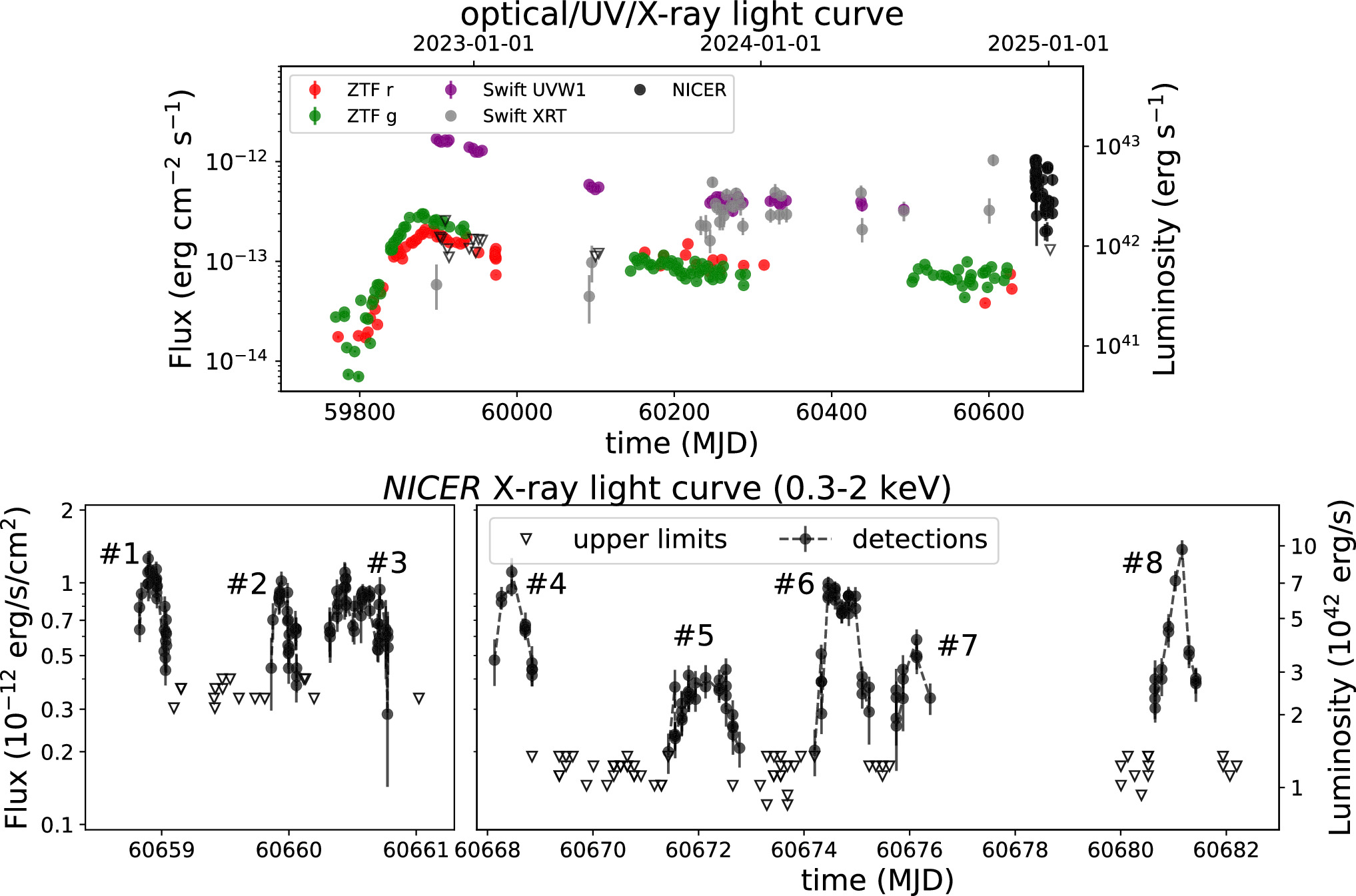 Discovery of Quasiperiodic Eruptions in the Tidal Disruption Event
