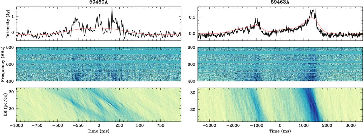 Figure 1. Refer to the following caption and surrounding text.
