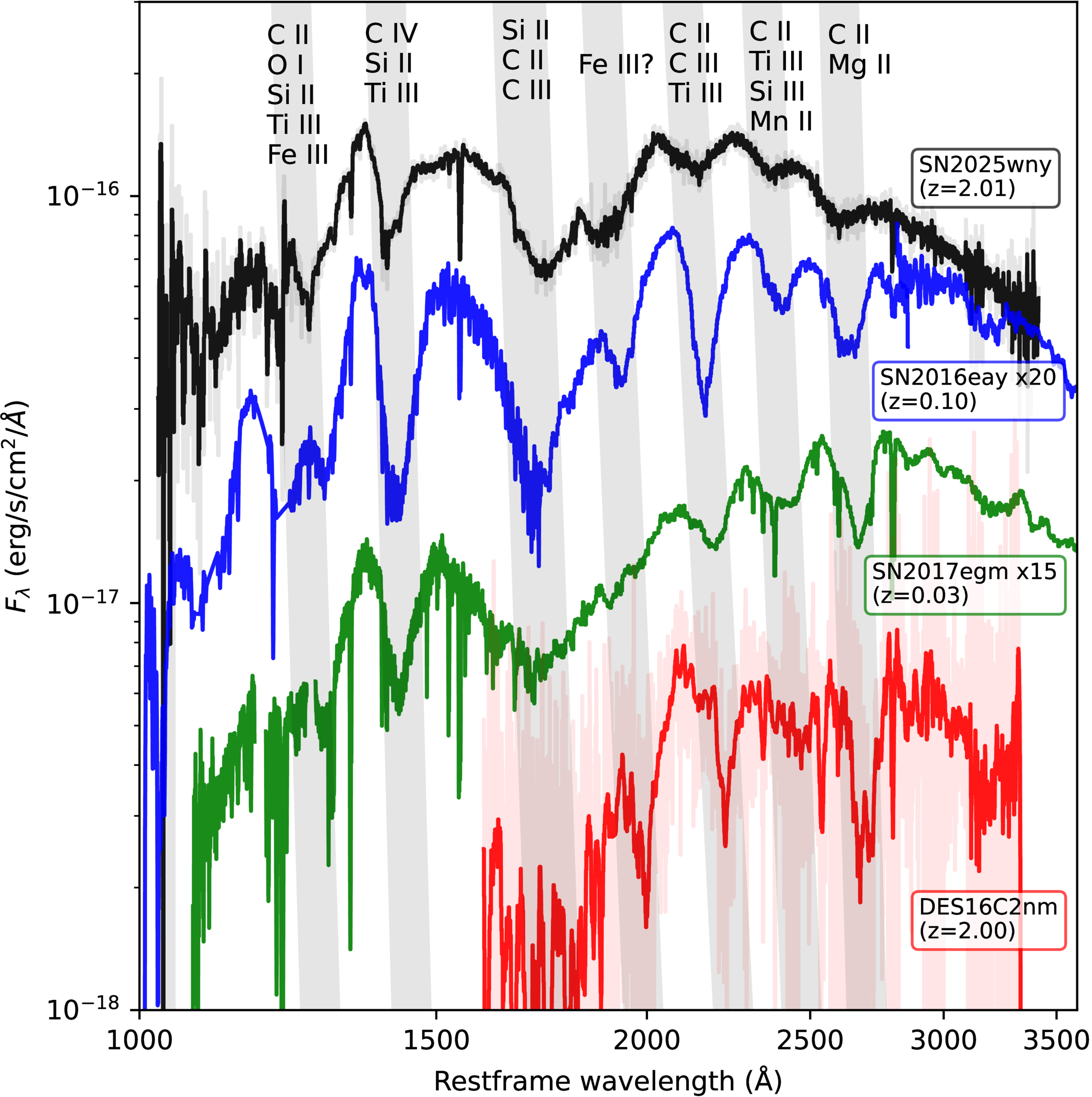 Discovery of SN 2025wny: A Strongly Gravitationally Lensed