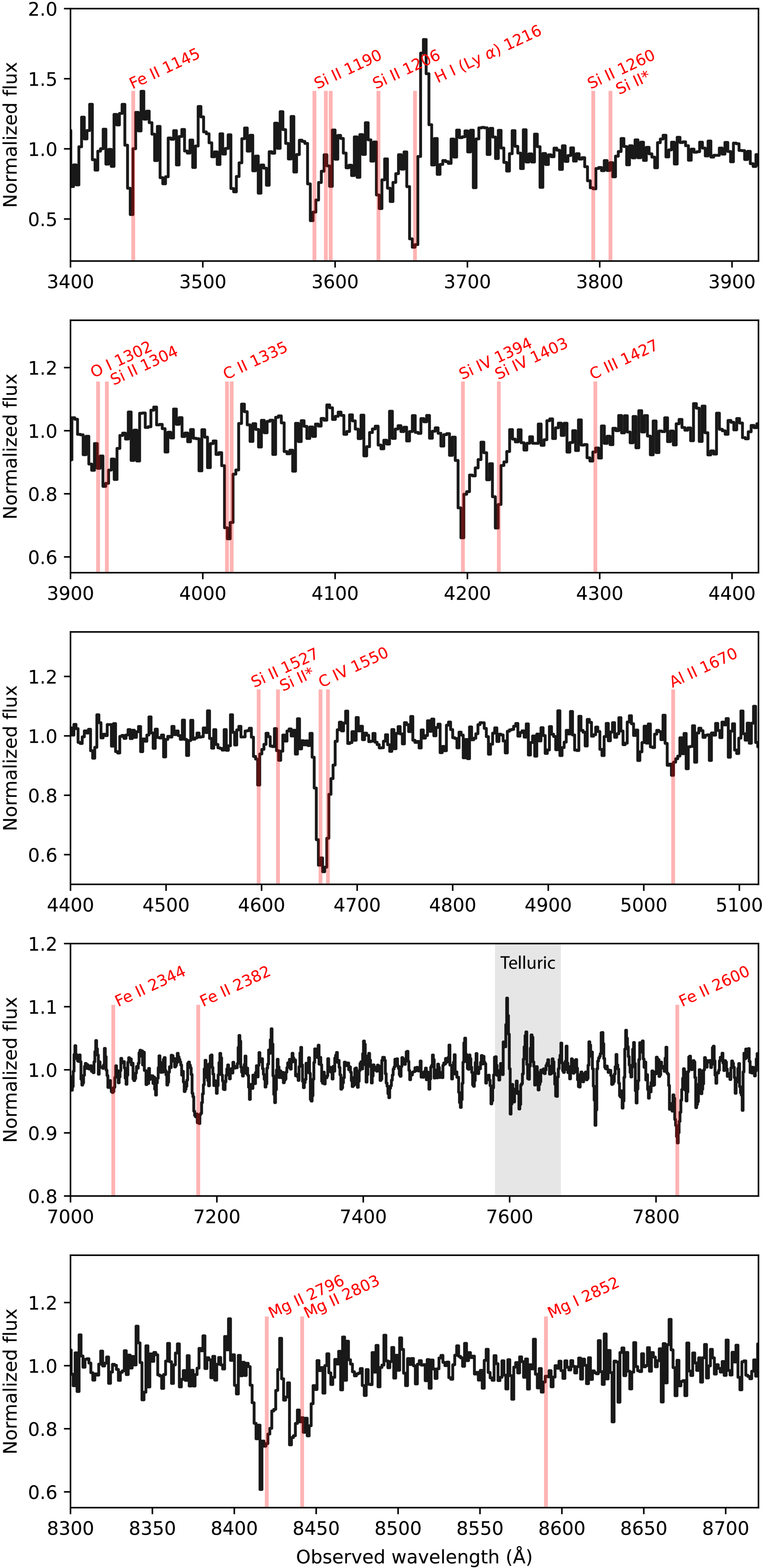 Discovery of SN 2025wny: A Strongly Gravitationally Lensed