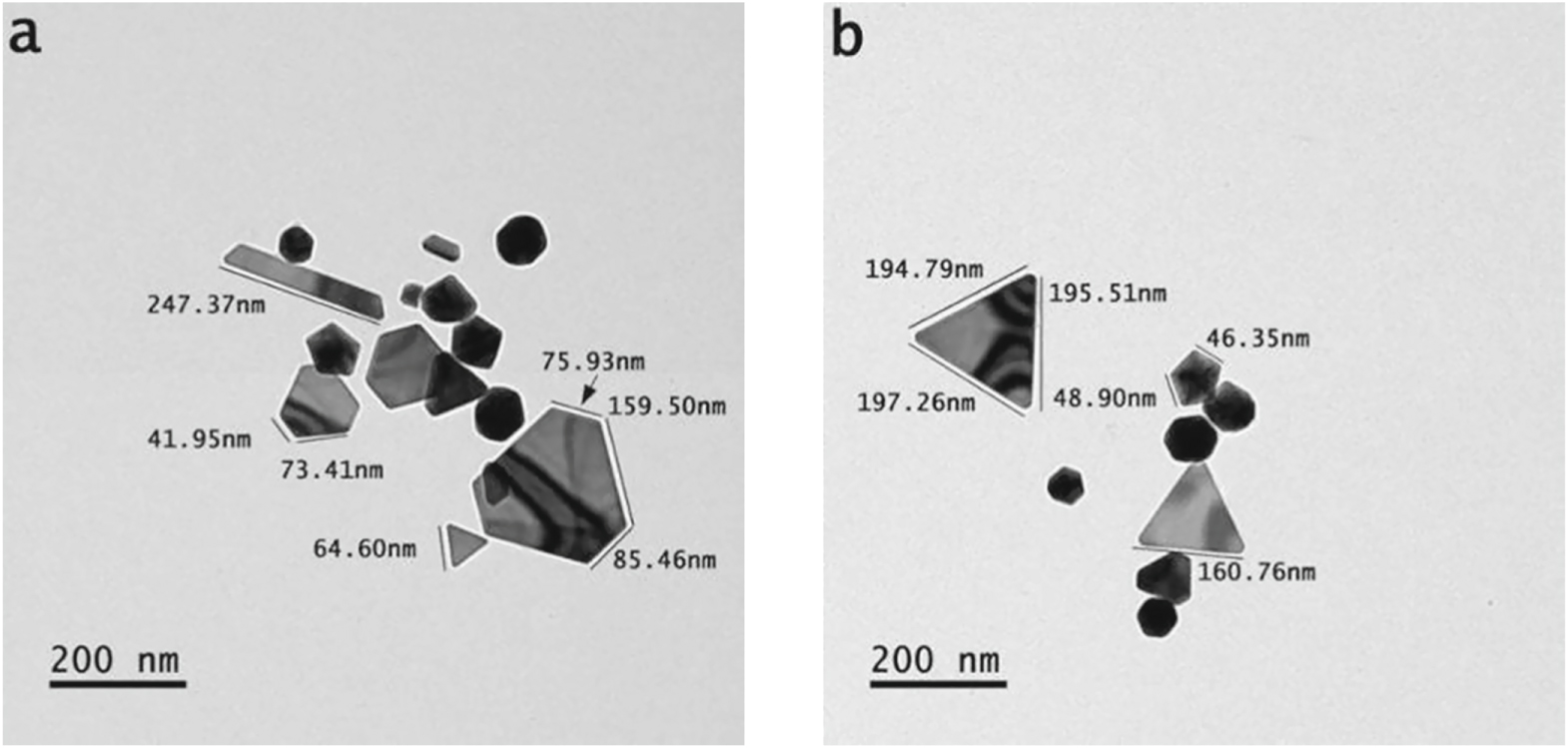 Development of gold tiny particles and particles in different sizes at ...
