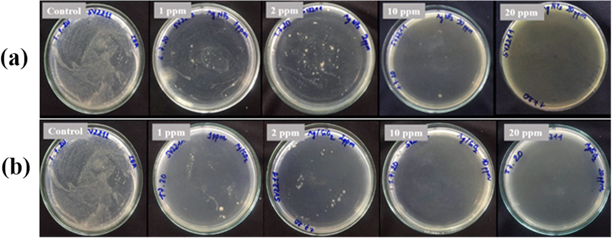 Sio2 Colloids Study of stability and antimicrobial activity of colloidal Ag/SiO2 ...