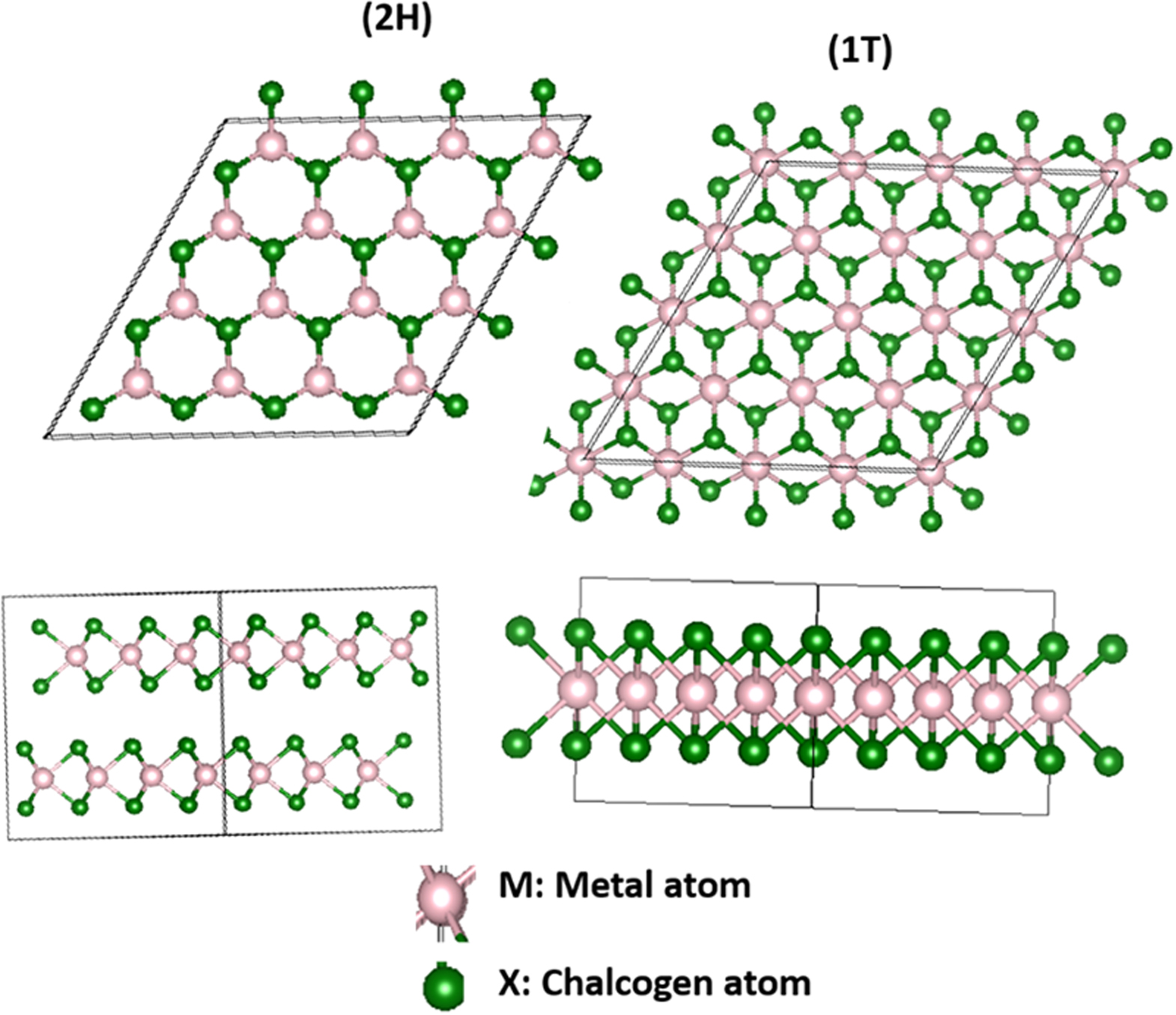 A Review on MX2 (M = Mo, W and X = S, Se) layered material for opto ...