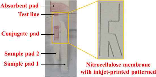 Fabrication of microfluidic paper-based channels by inkjet printing ...