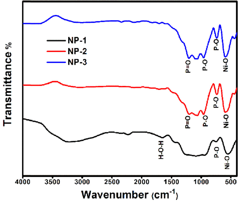 Investigating the electrochemical and antibacterial activities of ...