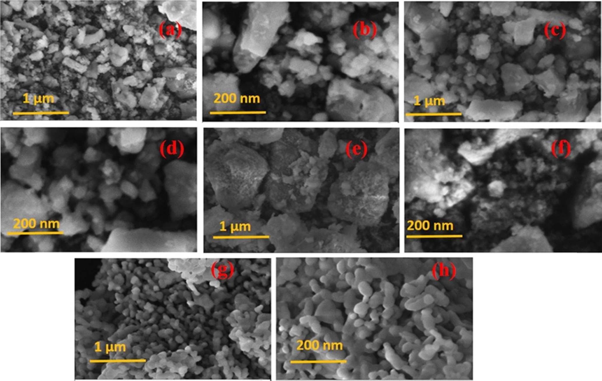 Investigating the electrochemical and antibacterial activities of ...