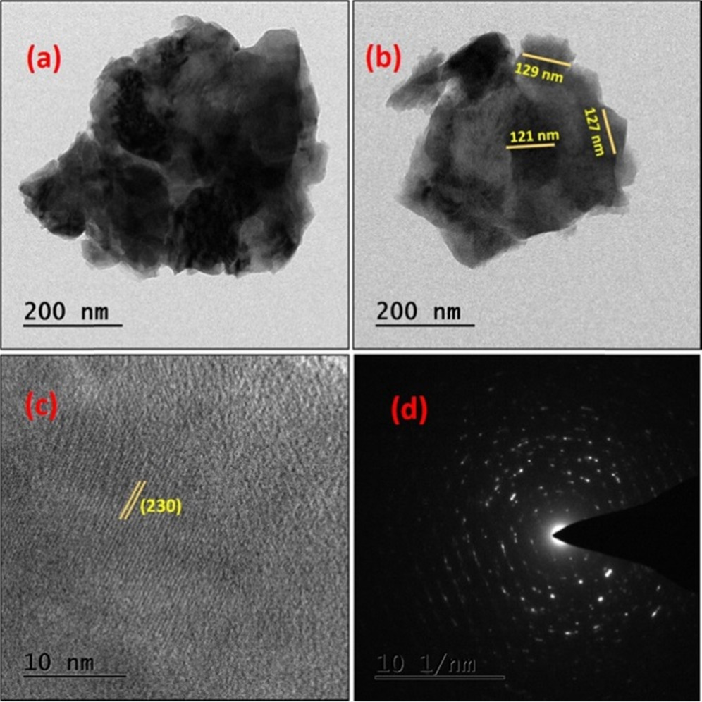 Investigating the electrochemical and antibacterial activities of ...