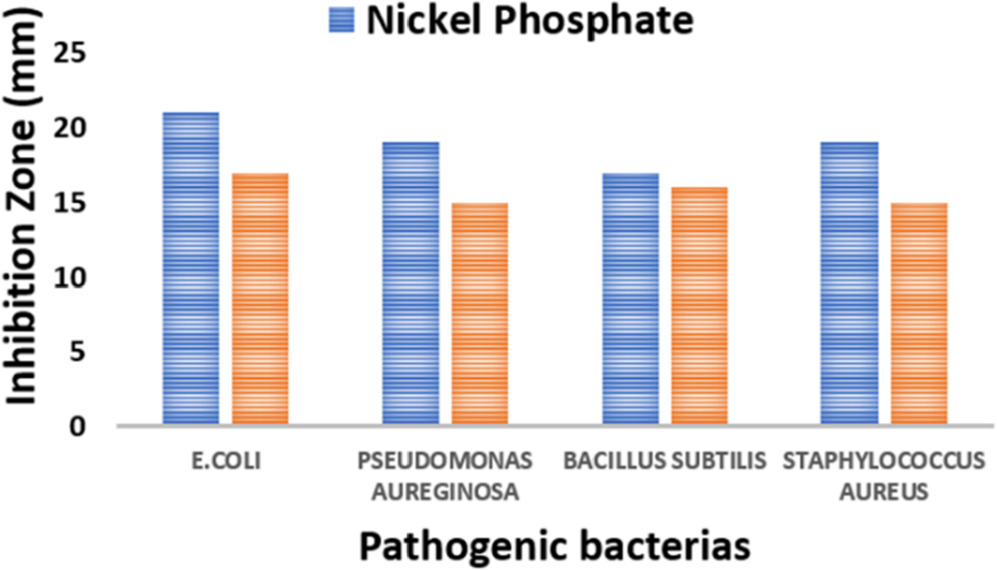 Investigating the electrochemical and antibacterial activities of ...