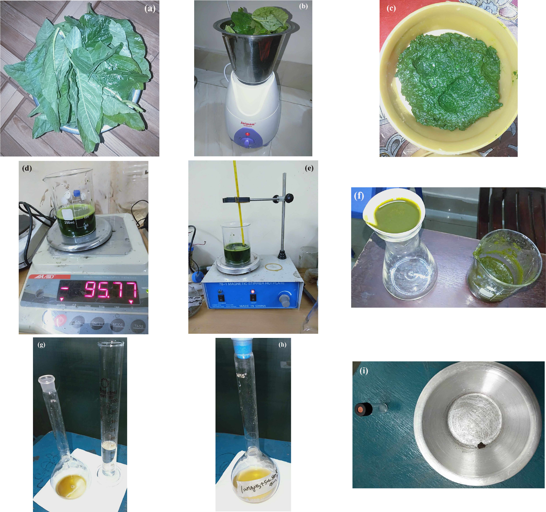 Synthesis, evaluation, and monitoring of red amaranth extract for power ...