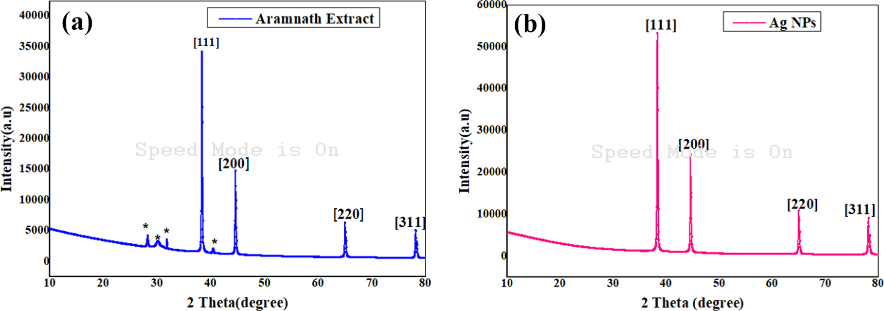 Synthesis, evaluation, and monitoring of red amaranth extract for power ...