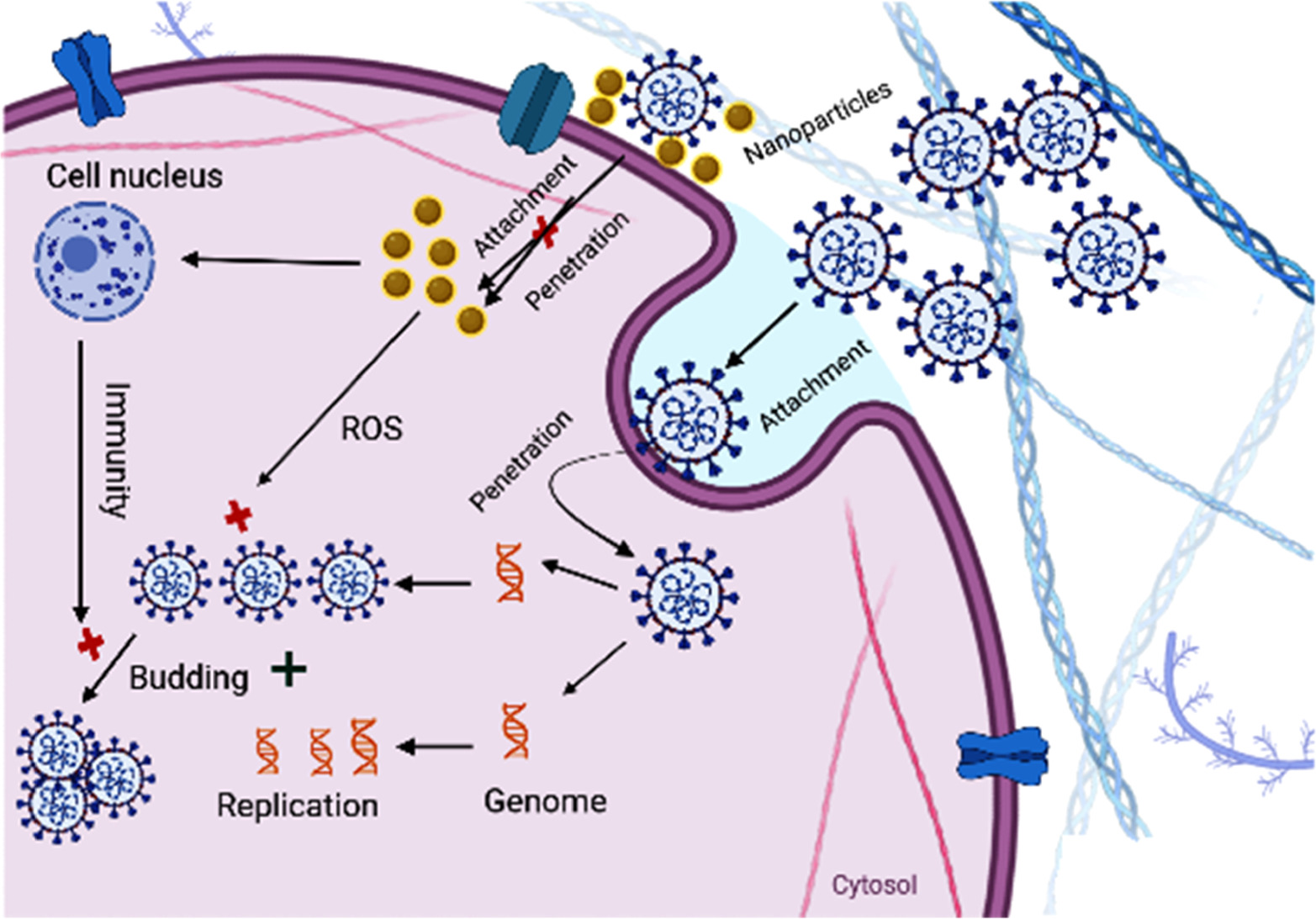 Recent advancements of nanoparticles for antiviral therapy - IOPscience