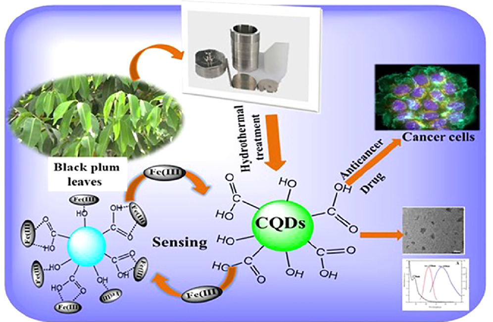 Carbon Quantum Dots: Sustainable synthesis, enhanced properties, and ...
