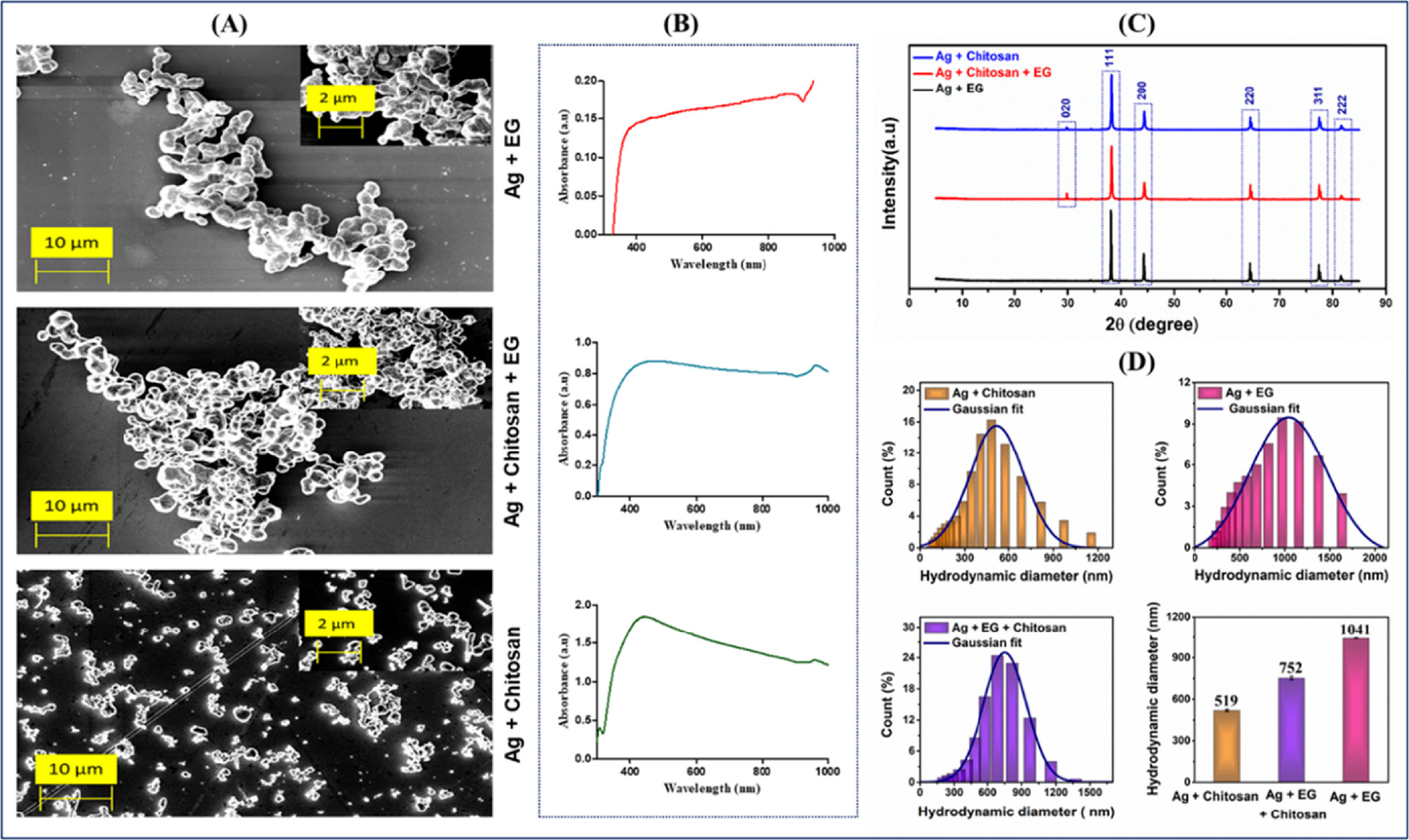 Green-synthesized silver nanoparticles from chitosan and ethylene ...