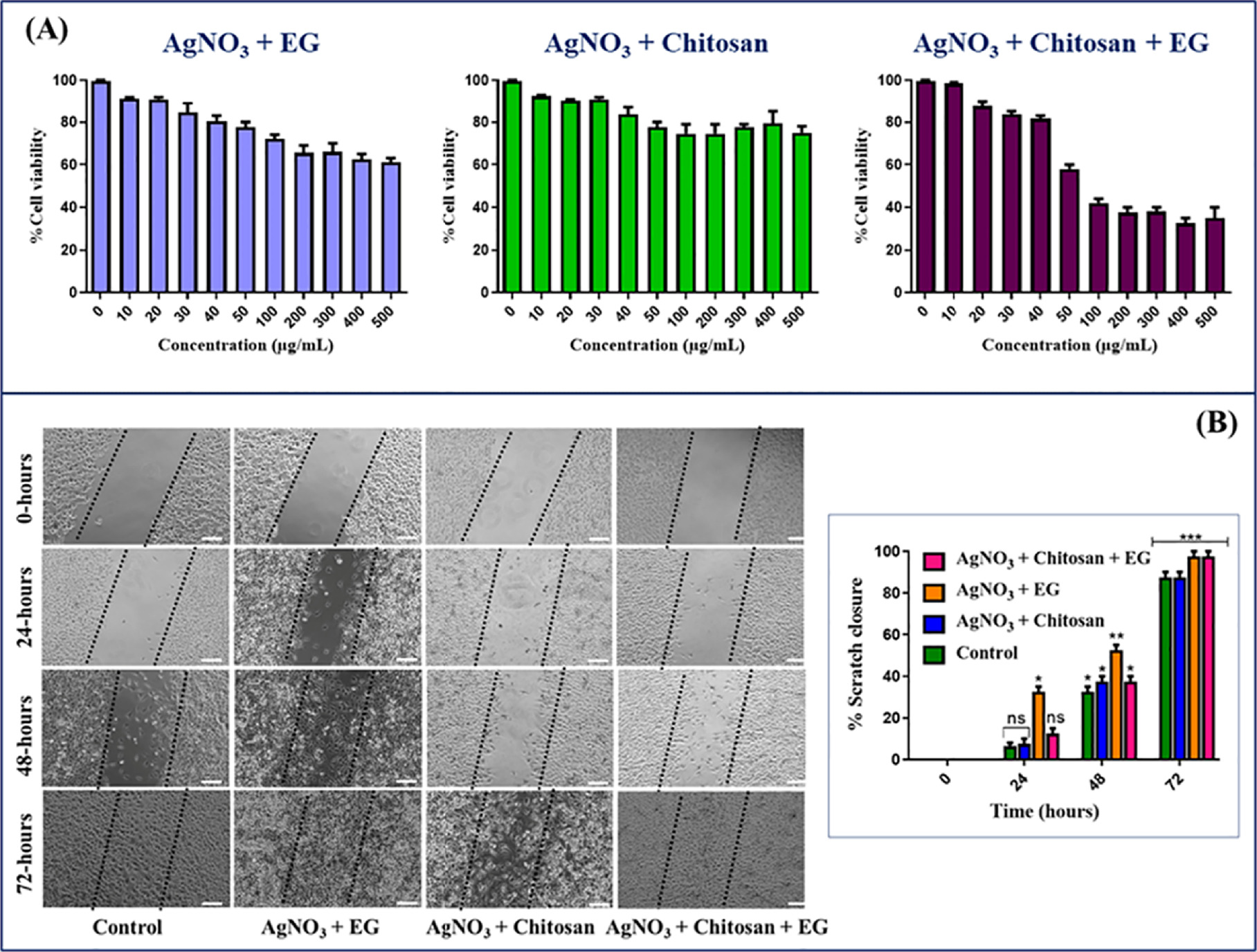 Green-synthesized silver nanoparticles from chitosan and ethylene ...