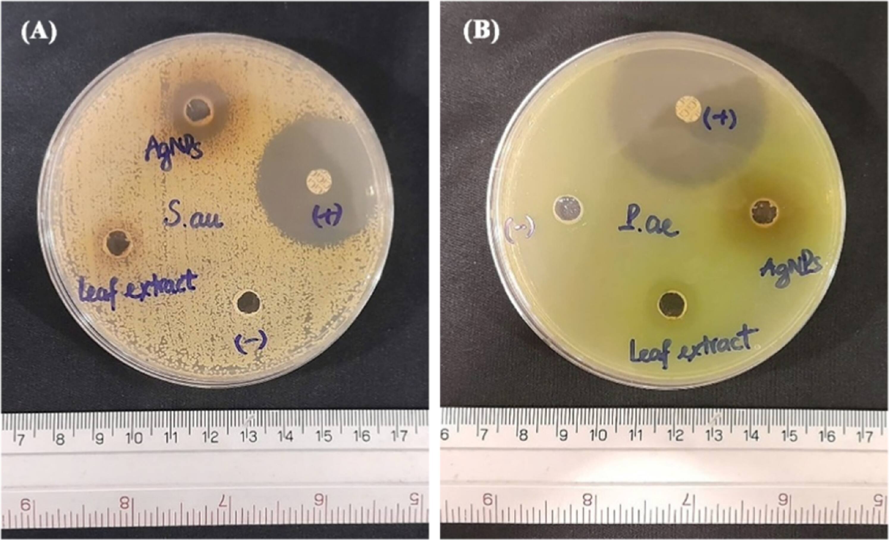 Optimization of green synthesis parameters for silver nanoparticles ...