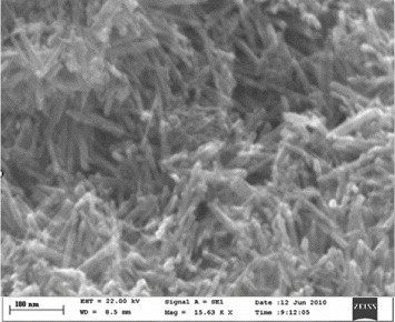 Figure 2 Refer to the following caption and surrounding text.