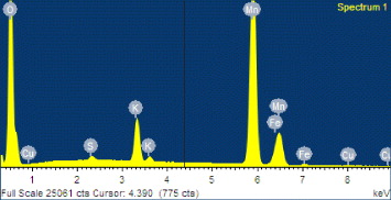 Figure 3 Refer to the following caption and surrounding text.