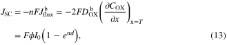 Equation (13)