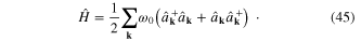 Equation (45)