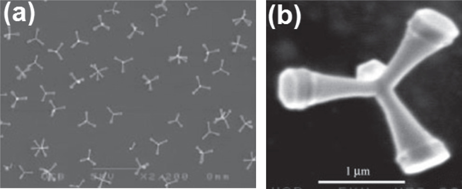 小物 tetrapod Zinc oxide nanotetrapods with four different arm