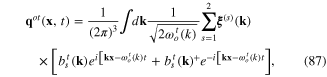Equation (87)