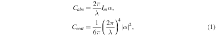 Equation (1)