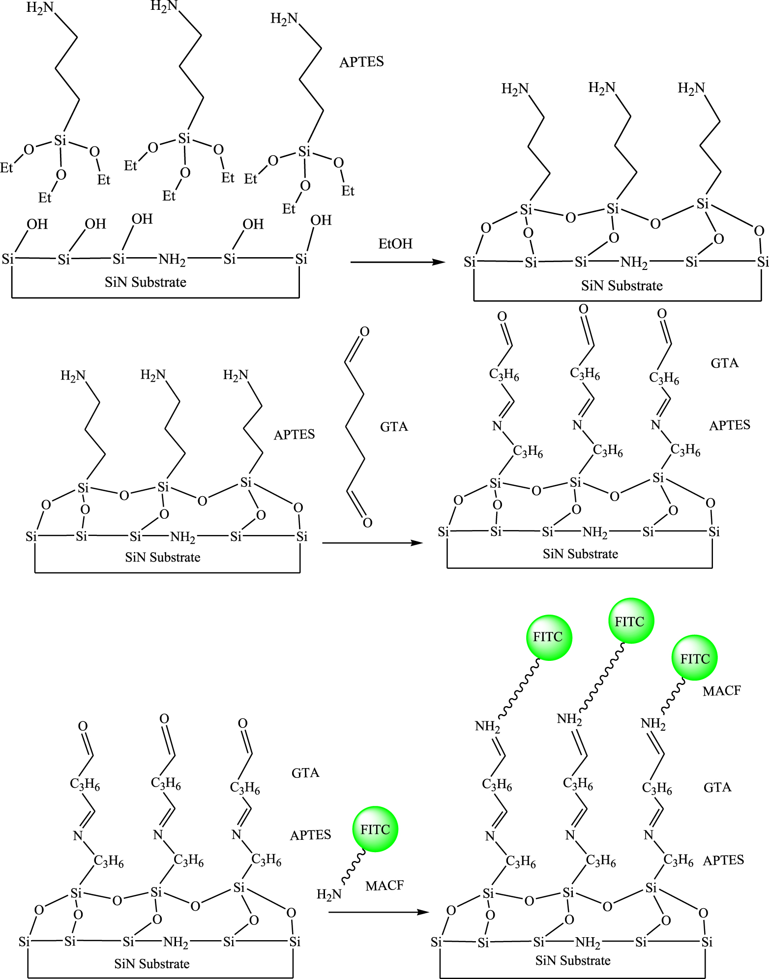 Modification of silicon nitride surfaces with GOPES and APTES for ...