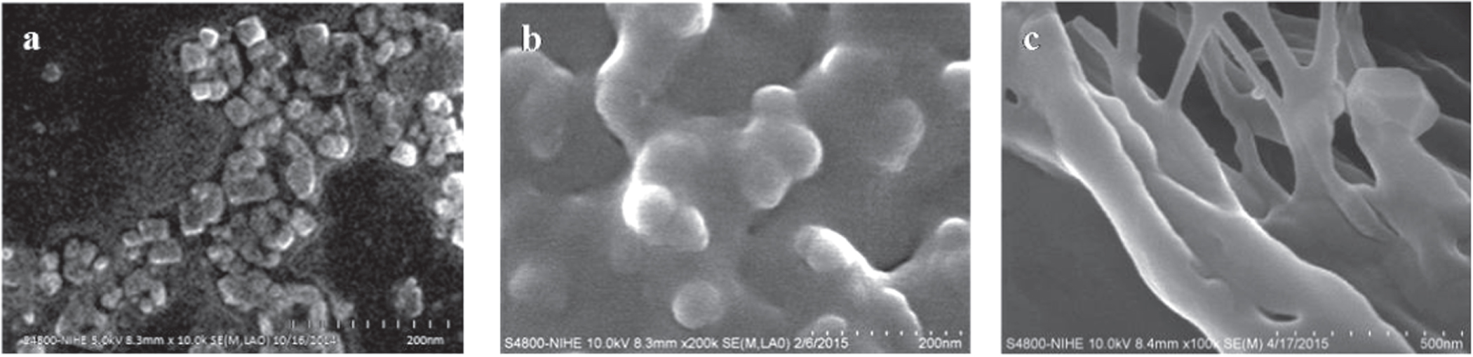Preparation and characterization of silver chloride nanoparticles as an ...