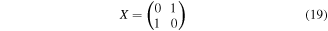 Equation (19)