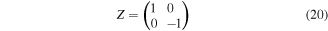 Equation (20)
