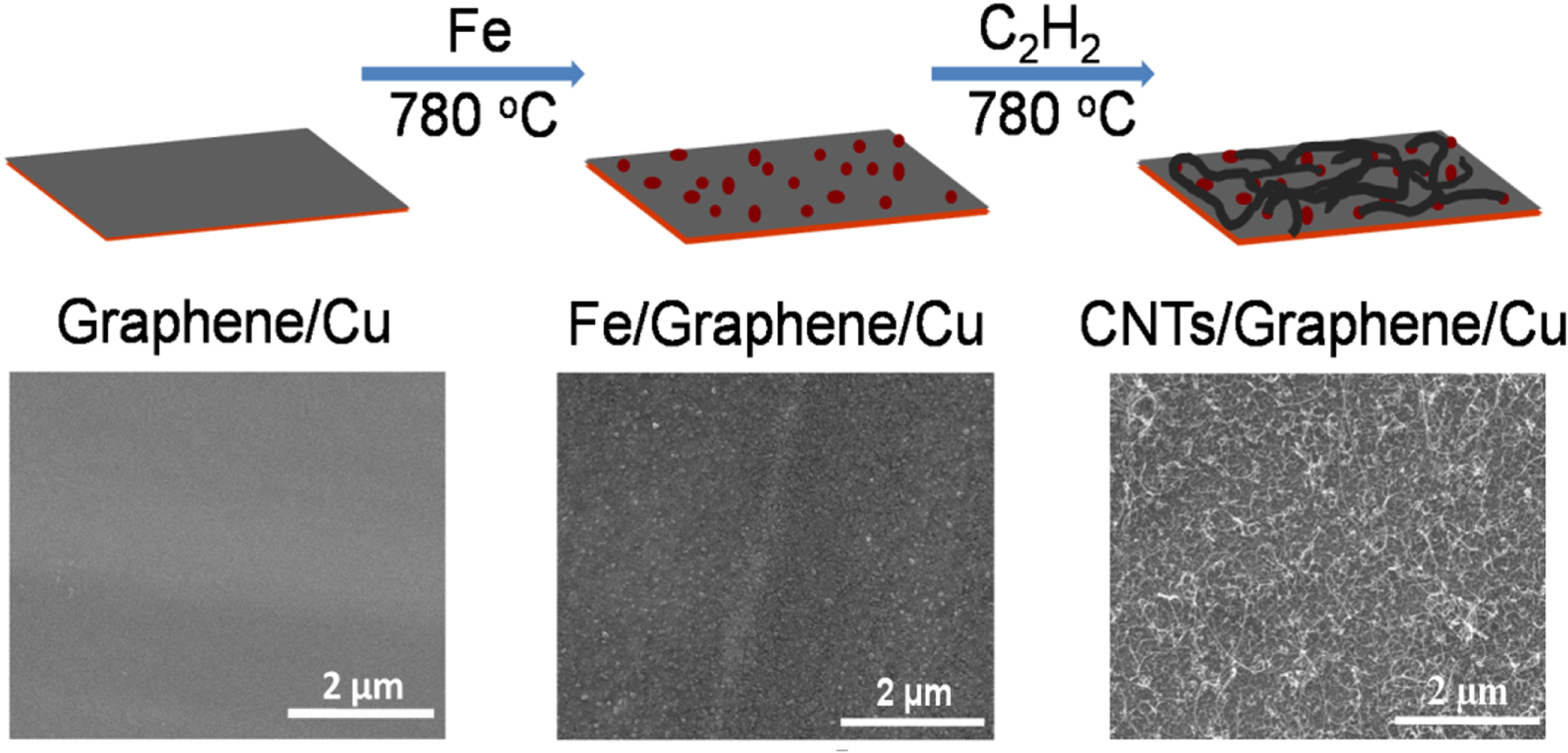 Recent trends in preparation and application of carbon nanotube ...