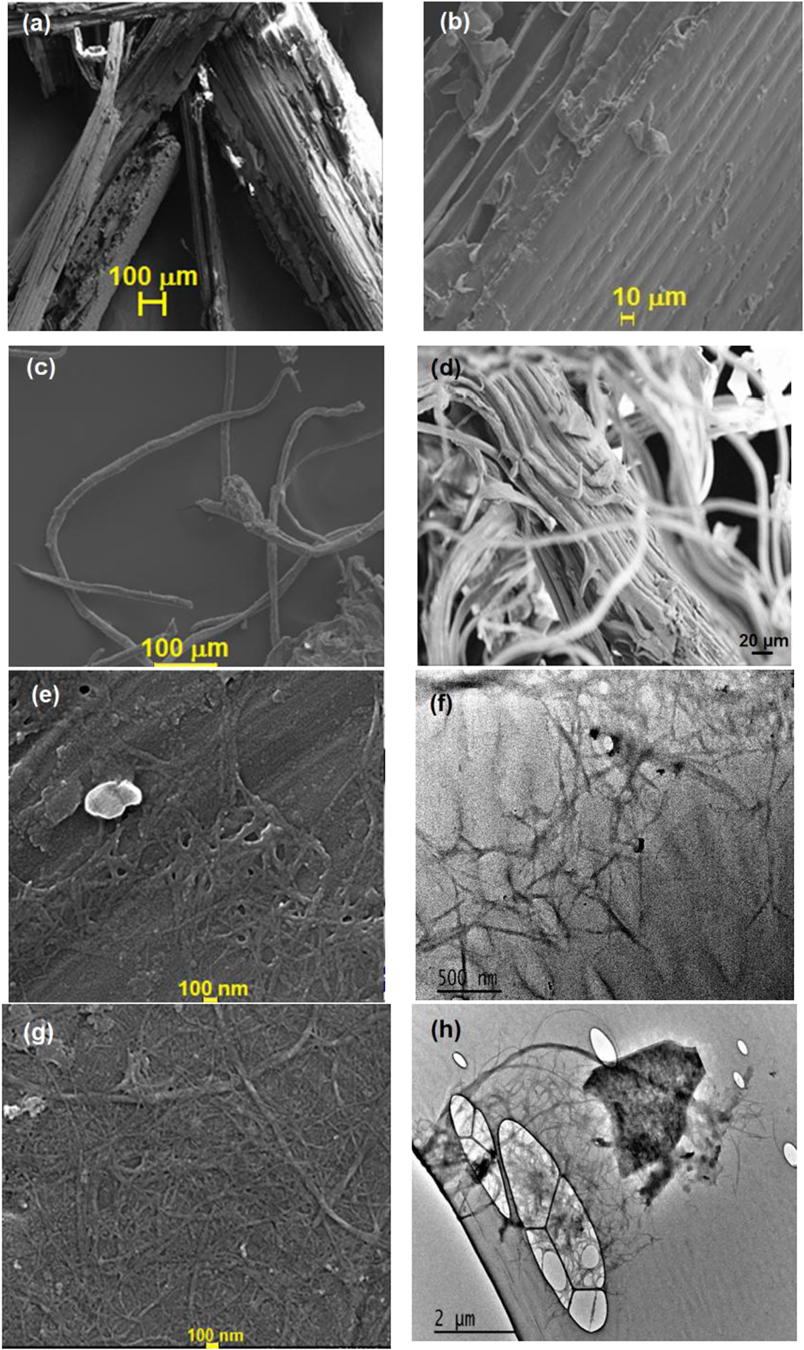 A comparison of cellulose nanocrystals and cellulose nanofibres ...